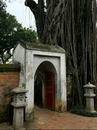 TEMPLE OF LITERATURE.