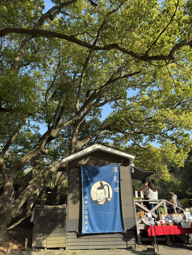 東京景點｜濱離宮恩賜庭園 