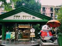 🇨🇳:成都 パンダ愛が詰まった癒し空間へ！