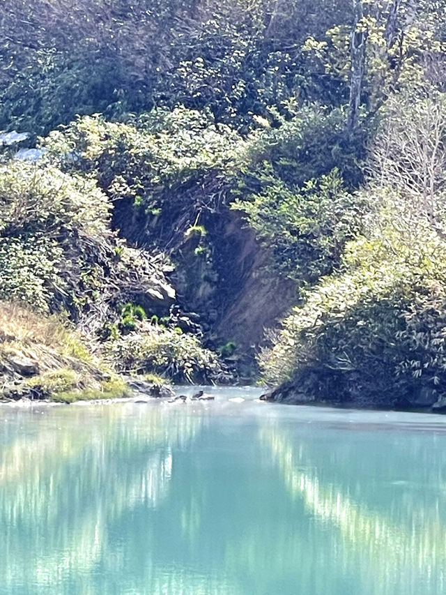 【青森×地獄沼】神秘的な色合いの沼