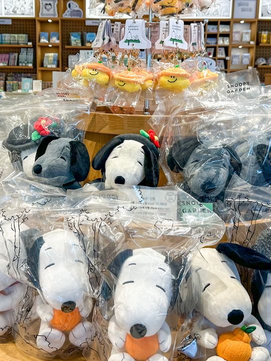 濟州🇰🇷🍊史努比花園 Snoopy Garden 超好拍！