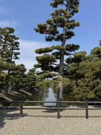 「大仙古墳で感じる静かな永遠⛰️⛩️」