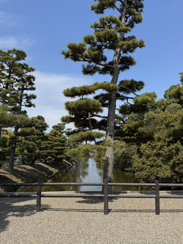 「大仙古墳で感じる静かな永遠⛰️⛩️」