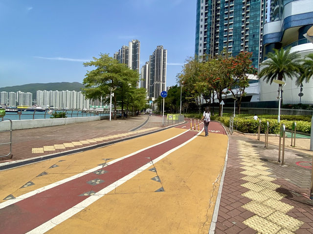 享受陽光溫暖與自然之美☀️🌱荃灣海濱公園✨🌊