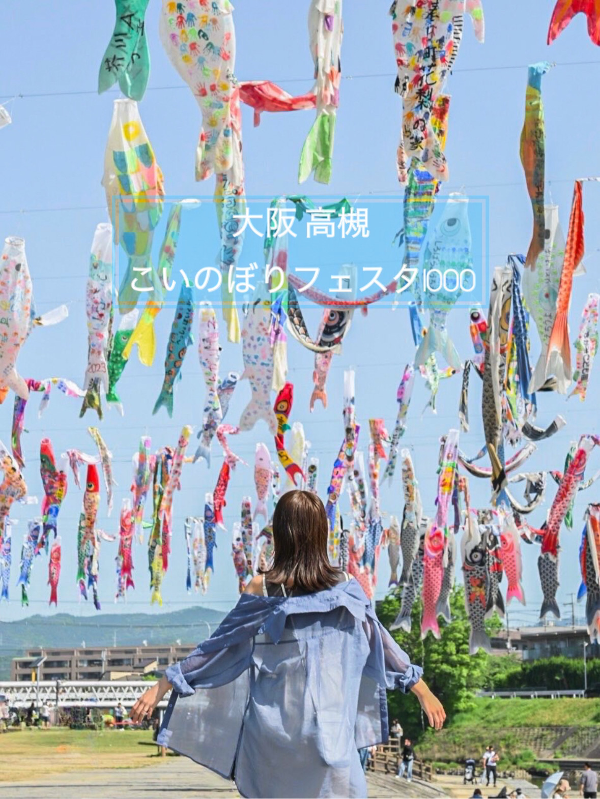 こいのぼり rb20-15_catch.jpg?fitin=720:720