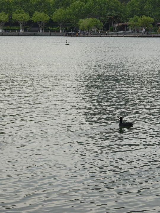 很舒適，很寫意的一個公園