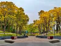 Nuwa Seaside Park – Shenzhen’s Mythical Oceanfront Escape