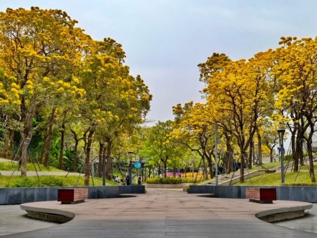 Nuwa Seaside Park – Shenzhen’s Mythical Oceanfront Escape