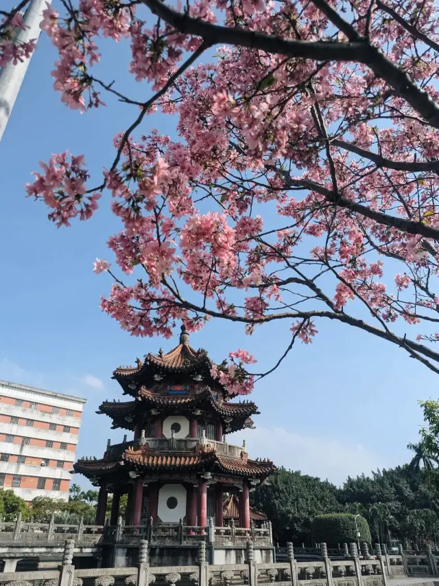 228 Peace Memorial Park