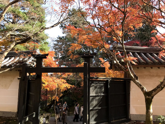 【二尊院の紅葉｜嵯峨野に広がるもみじのトンネル】