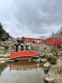 Foxes, Forests & a Thousand Gates — My Takayama Inari Shrine Stroll