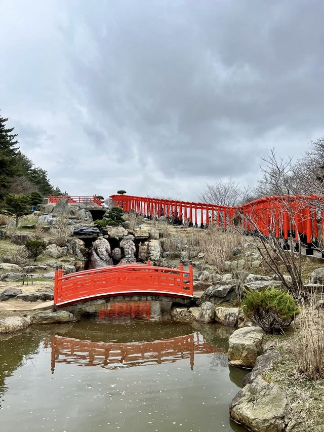 Foxes, Forests & a Thousand Gates — My Takayama Inari Shrine Stroll