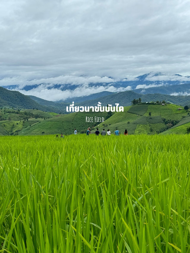 12 กิจกรรมเที่ยวฤดูฝน ⛰️🌳🌧️🍃