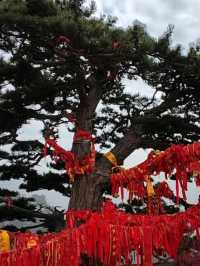 徒步走華山群峰，西峰索道下山