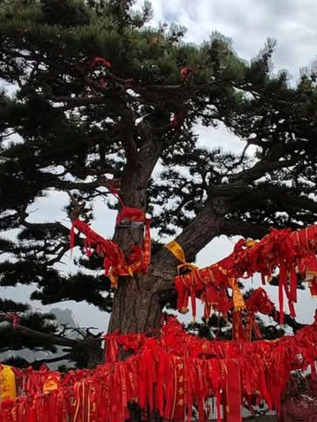 徒步走華山群峰，西峰索道下山