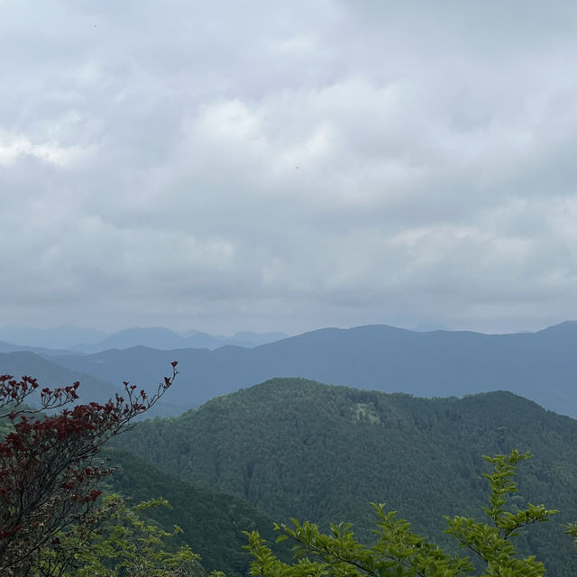 🌰【栗の木岳】 まつさかイレブン