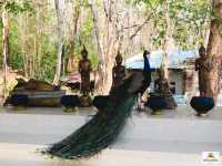 พระธาตุภูเพ็ก