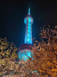 “Petals in the Pearl: Cherry Blossoms Amid Shanghai’s Skyline”