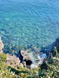 🌊 제주 여행 추천 관광지 & 인생샷 명소, 봄의 낭만!