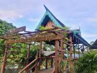 ✨ Kota Tinggi Firefly Valley: A Solo Traveller’s Dazzling Night Escape