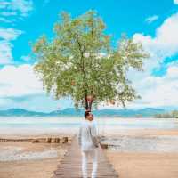 The Mangrove by Blu Monkey 