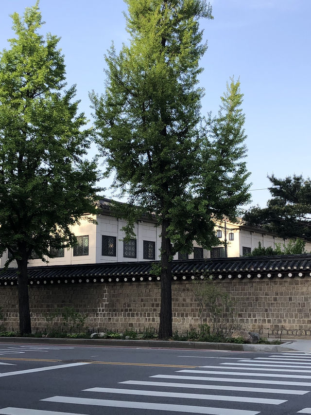️ 경복궁과 서촌을 거닐며, 서울의 정취를 만나다