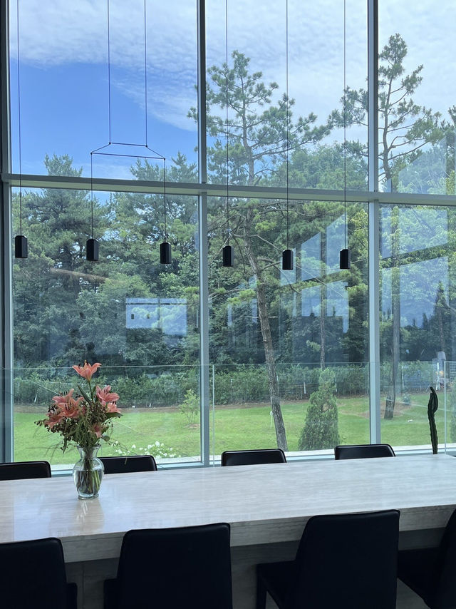완주 대형카페, 창문너머 숲속뷰 감성🌳