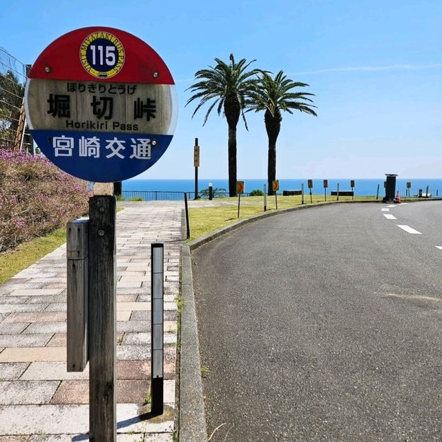 フェニックス並木が最高に涼やか！