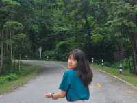 อุทยานแห่งชาติภูผายล จ.สกลนคร