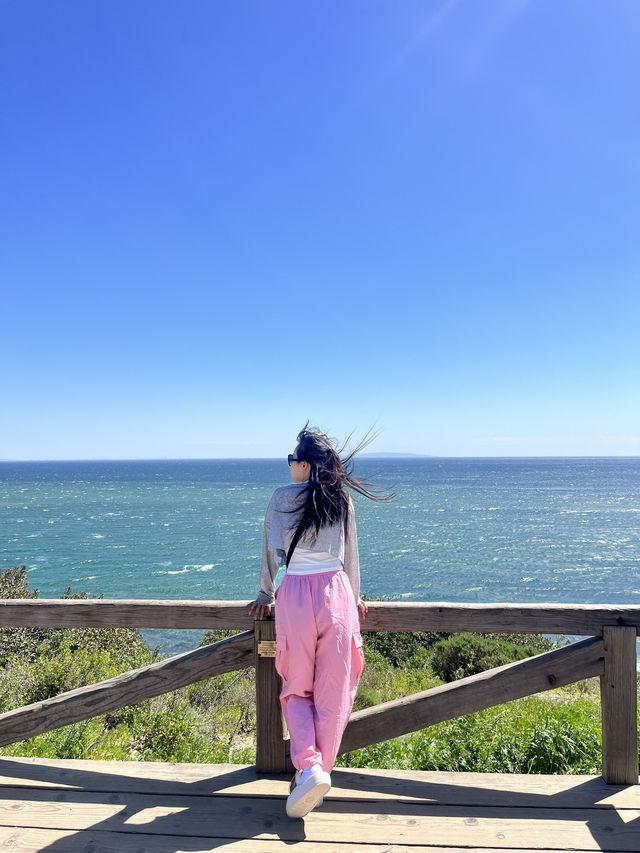 🌊말리부 비치, LA의 완벽한 휴양지!