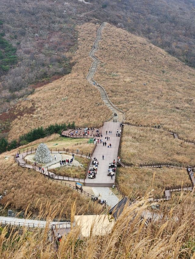 영남알프스의 관문, 가을 억새로 유명한 간월재🍂