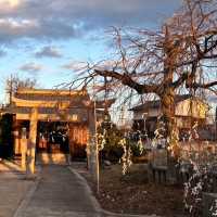 🇯🇵【愛媛県】病気平癒や疫病消除を願う！祇園神社⛩️