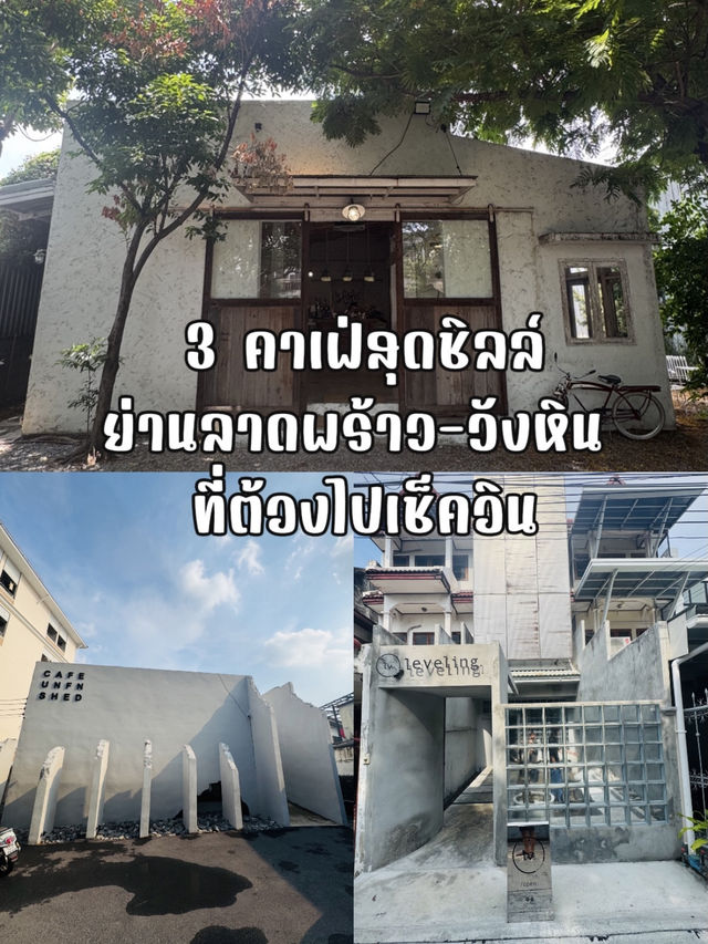 3 คาเฟ่สุดชิลล์ย่านลาดพร้าว-วังหิน ที่ต้องไปเช็คอิ