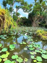 The White Lotus Experience in Thailand: Luxury, Culture & Coastal Dreams