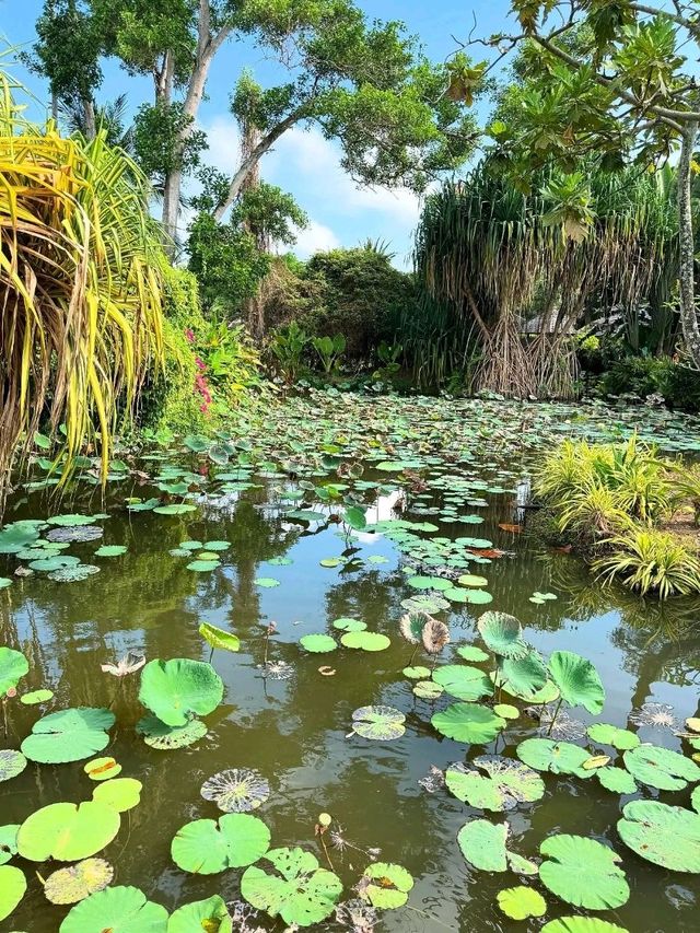 The White Lotus Experience in Thailand: Luxury, Culture & Coastal Dreams