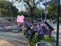 台北大安森林公園の繡球花仙境｜免費打卡＋偶遇松鼠小驚喜🐿️