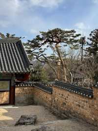 釜山梵魚寺｜繁華都市中的幽靜💫