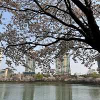 Seokchon Lake (Seoul)