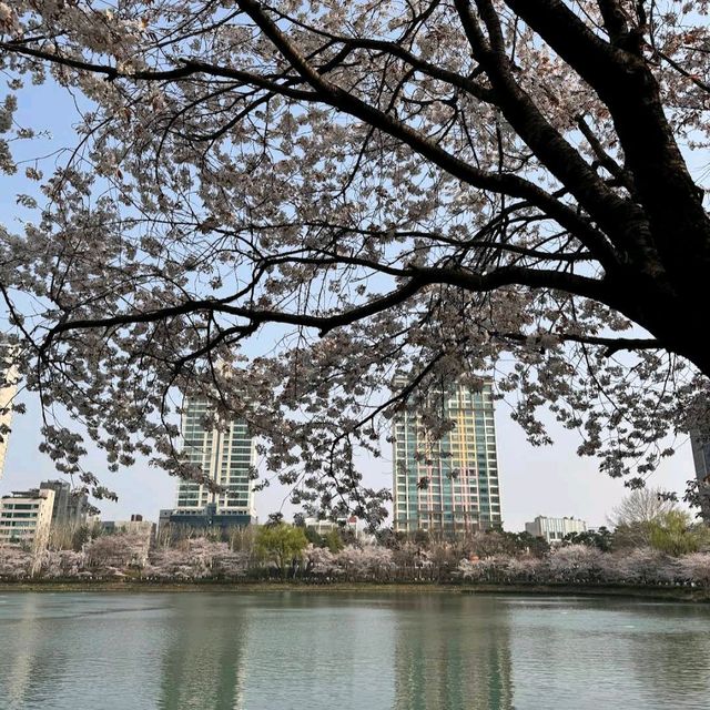 Seokchon Lake (Seoul)