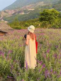 Checkin Sapa