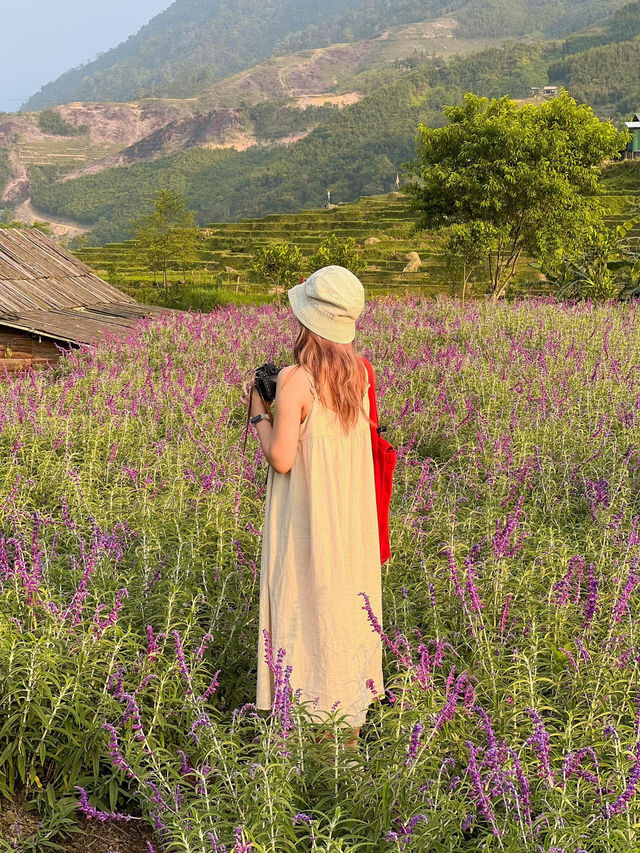 Checkin Sapa