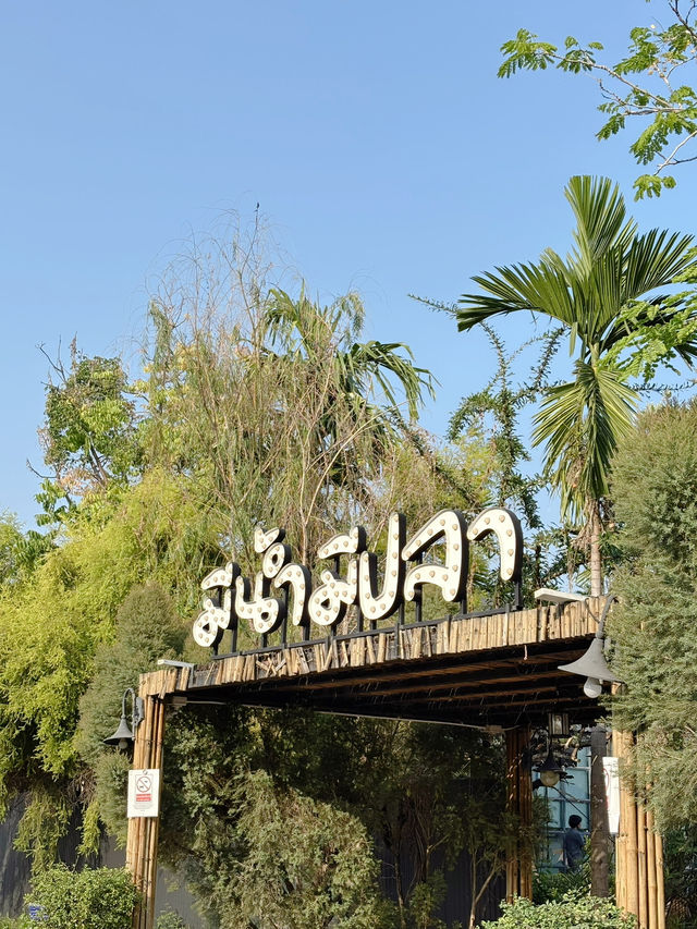 มีน้ำมีปลา ร้านอาหารริมน้ำบางปะกง ที่แปดริ้ว