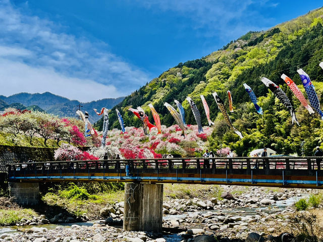 【長野県・花桃の里】まさに桃源郷