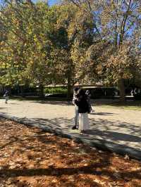 Pretty autumn in Parkville! 