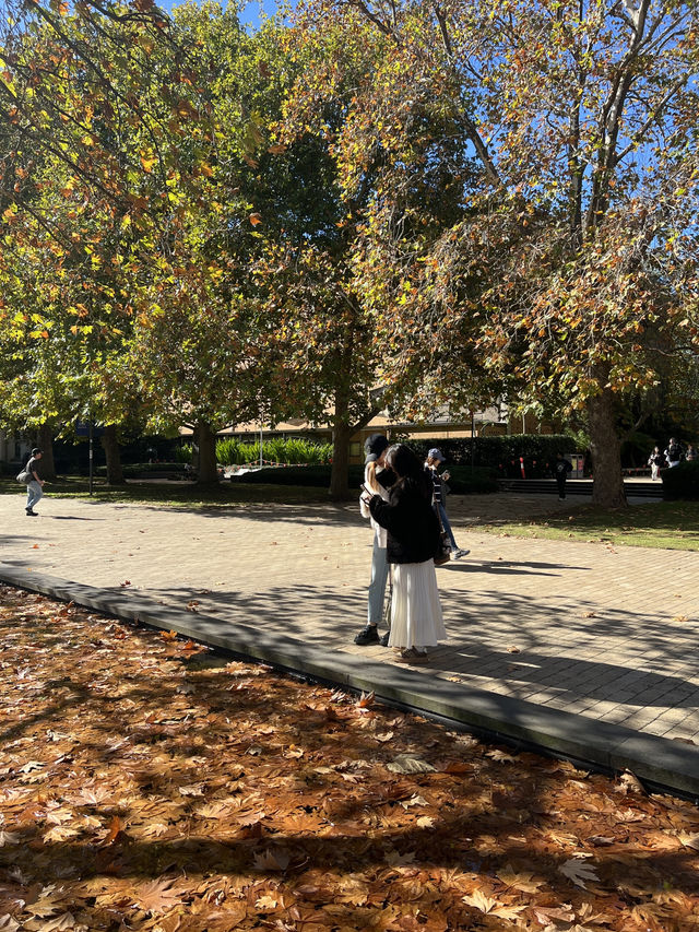 Pretty autumn in Parkville! 