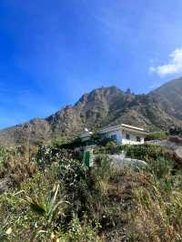 Spring in Tenerife