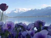 Montreux มงเทรอ ประเทศสวิสเซอร์แลนด์