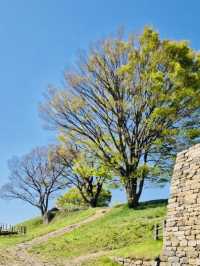A Peaceful Solo Hike to Gyejoksan Fortress from Jangdongsan Forest Park