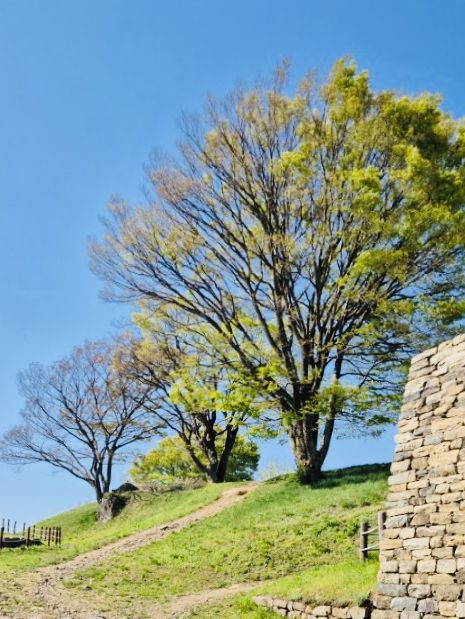 A Peaceful Solo Hike to Gyejoksan Fortress from Jangdongsan Forest Park