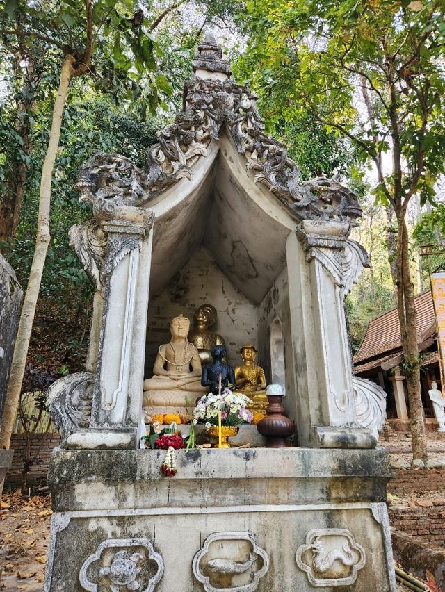 “วัดผาลาด”  เสน่ห์แห่งธรรมชาติและศรัทธาบนดอยสุเทพ